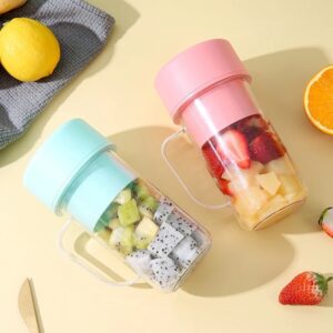 portable fruit blender gadget